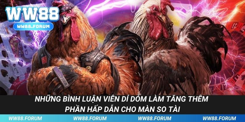 Những bình luận viên dí dỏm làm tăng thêm phần hấp dẫn cho màn so tì