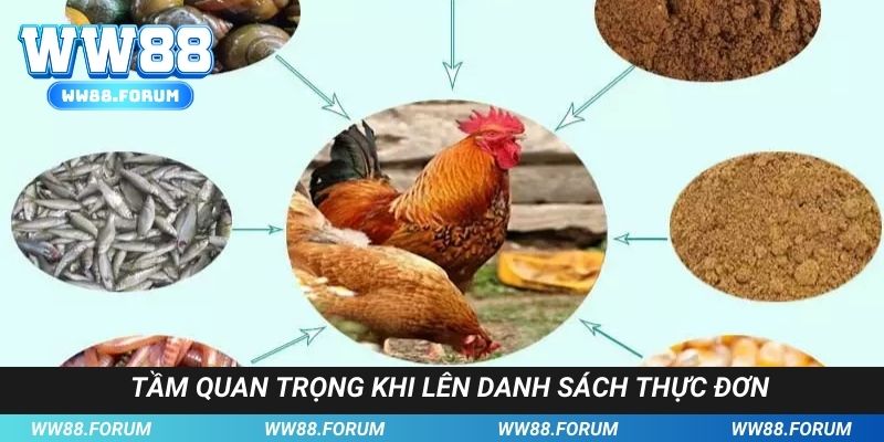 Tầm quan trọng khi lên thực ăn cho gà đá sung